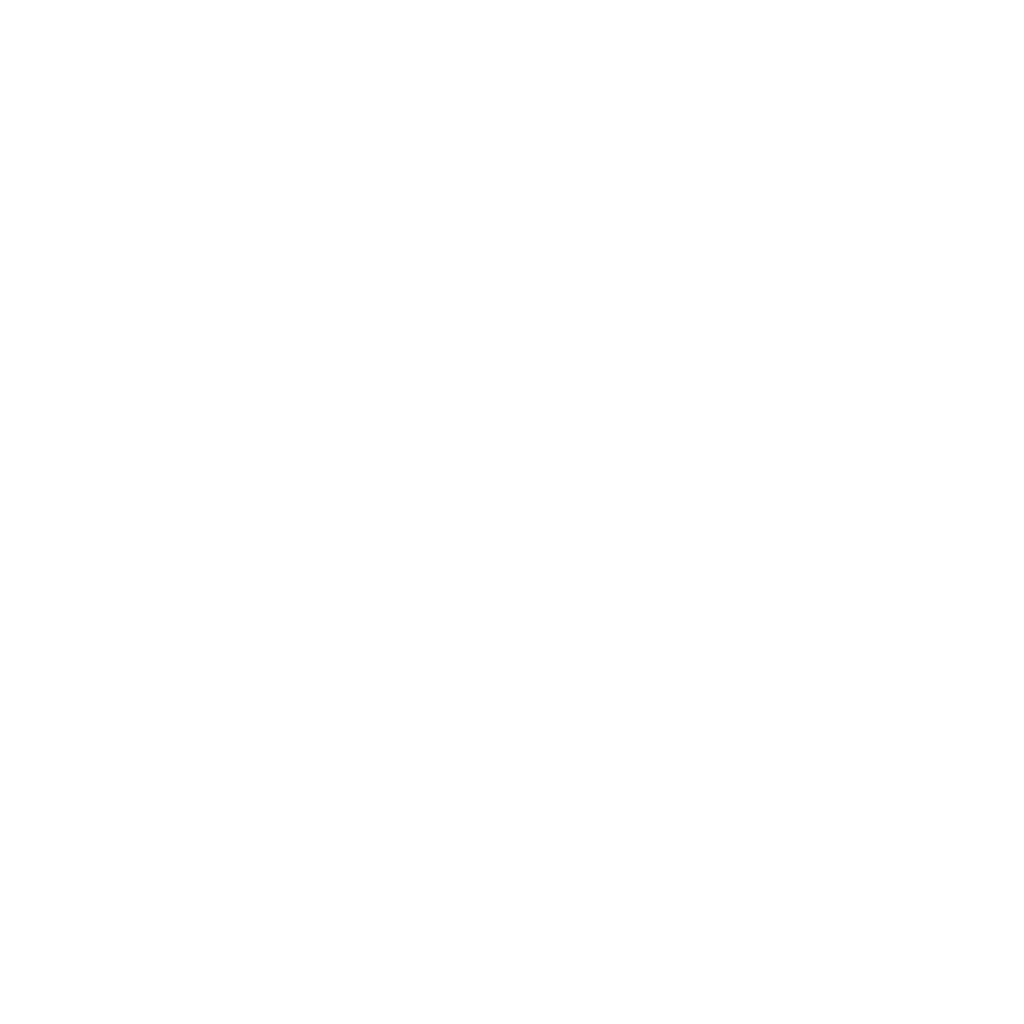 Logo Delfin Partners
